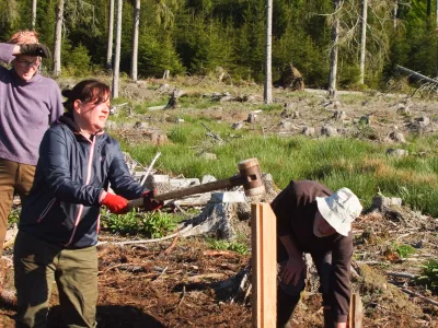 Freiwillige beim Dammbau in der Moorwiedervernässung