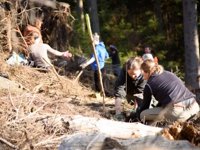 Junge Freiwillige bei der Pflanzung