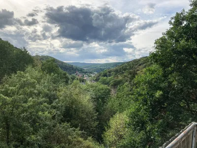 Weiter Blick auf die Waldlandschaft im Nationalpark Eifel