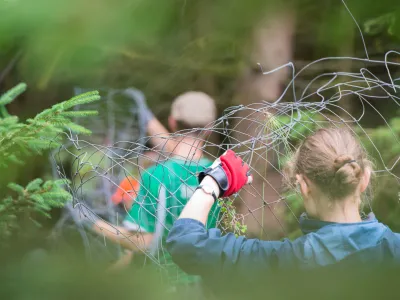 Personen beim Zaunabbau