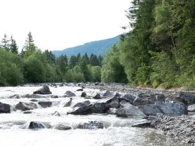Blick auf den Fluss und Wald