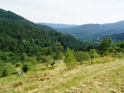 Blick auf die Landschaft in Bermersbach