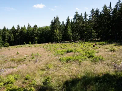 Blick auf die Landschaft im Soonwald