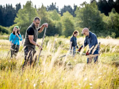 Freiwillige bei der Offenland-Pflege mit Sensen