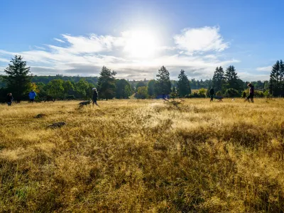 BWP_NPKellerwald_Landschaft.jpg
