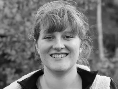 sharka dammig sharka dammig