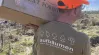 Aufbäumen im Harz Person trägt Karton, auf dem Rücken des Shirts ist "aufbäumen" gedruckt