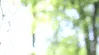 Im Wald lässt sichs sein. Person meditiert