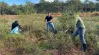 Personen entkusseln ein Moor mit der Säge Personen mit Sägen bei der Moorpflege