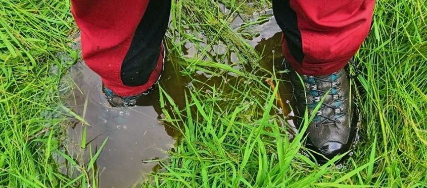 Und plötzlich wird es nass im Schuh... Und plötzlich wird es nass im Schuh...