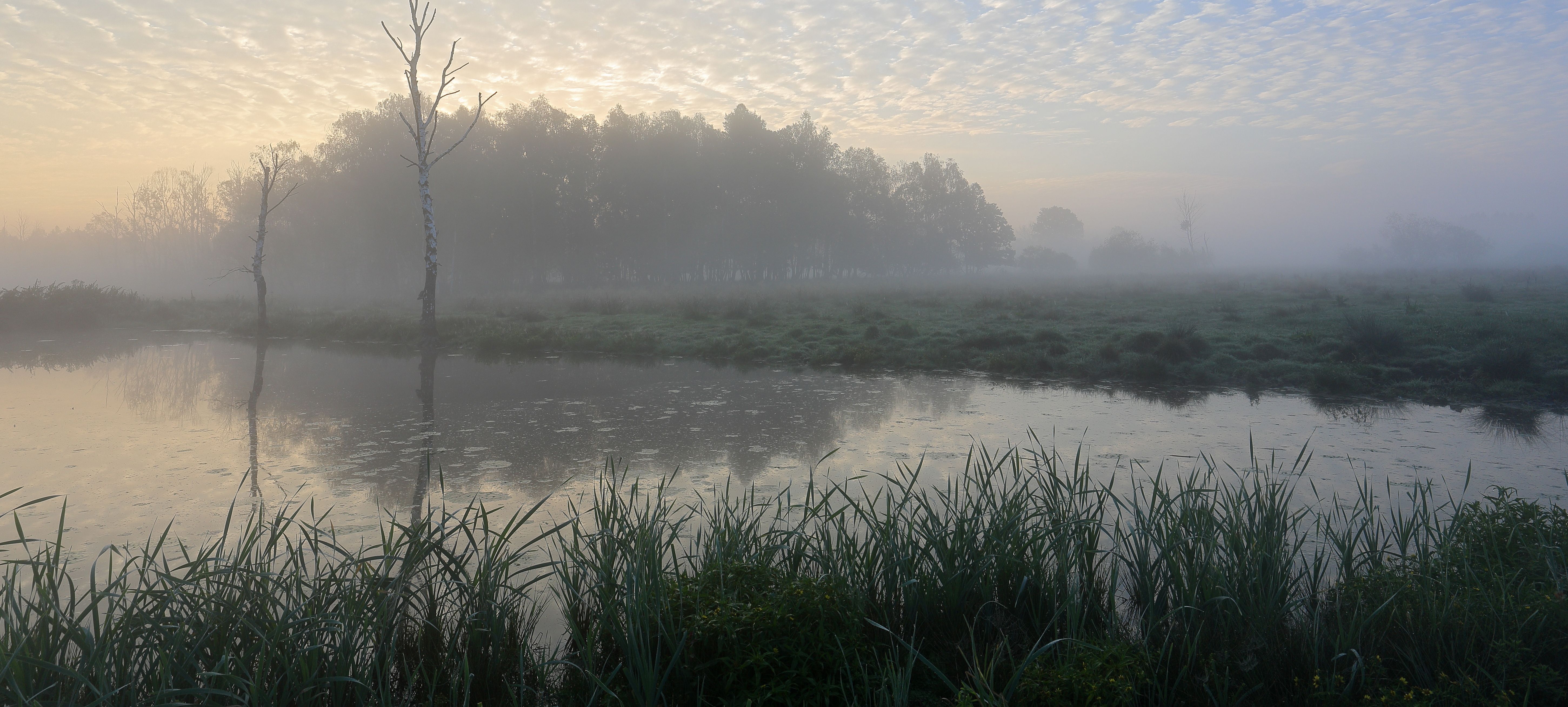 Wolfgang Veeser. Aus dem besprochenen Bildband: Pfrunger-Burgweiler Ried. Impressionen einer Moorlandschaft Wolfgang Veeser. Aus dem besprochenen Bildband: Pfrunger-Burgweiler Ried. Impressionen einer Moorlandschaft