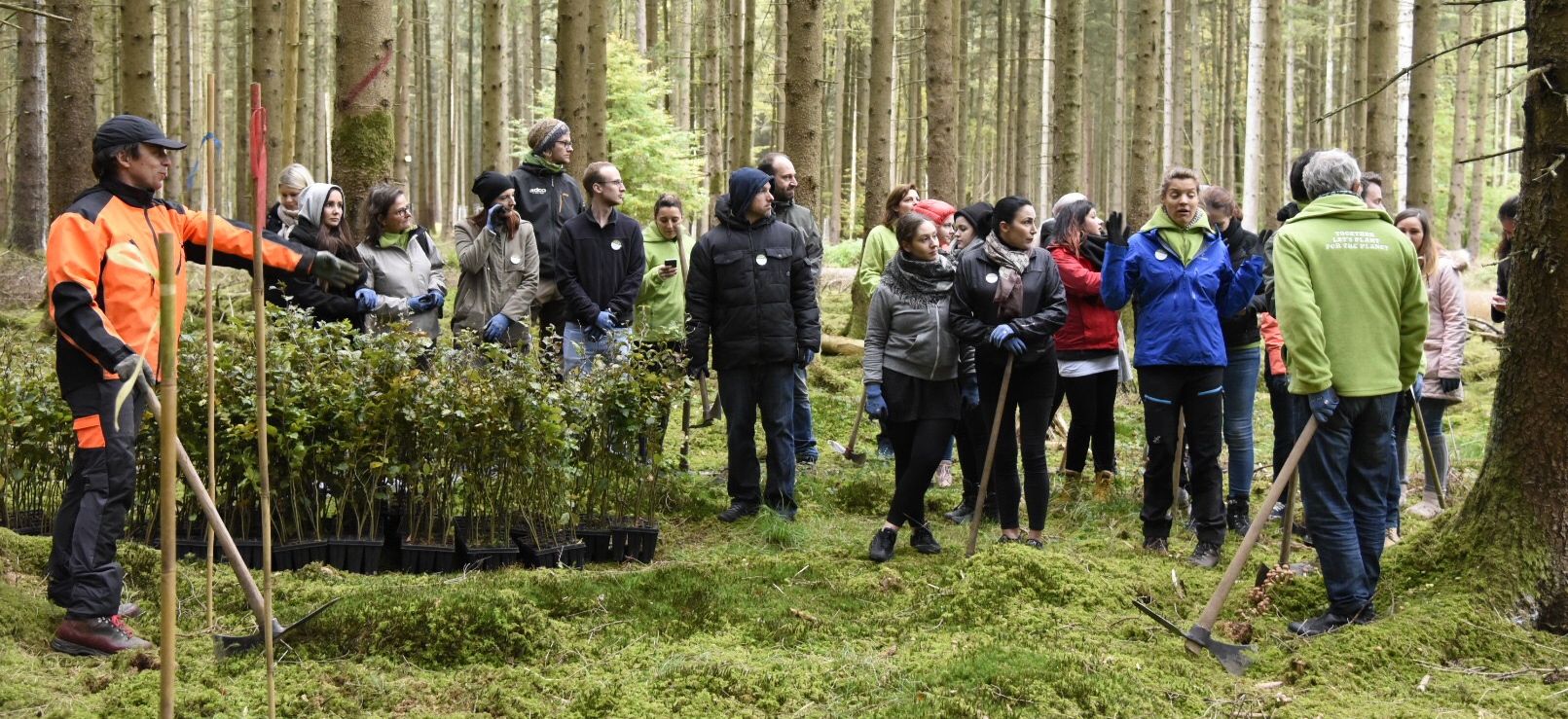 Der Projektleiter gibt die Richtung vor